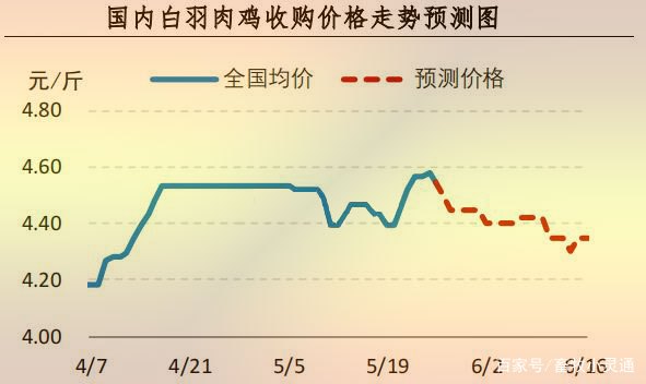 新牧网，最新鸡价格行情解析